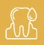 Bleeding-or-Swollen-Gums
