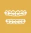 Teeth Braces 