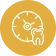 Long-Term Oral Health 