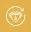 Recurring Canker Sores 